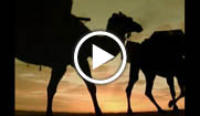 Video-Thumbnail: Auf den Spuren von Marco Polo'